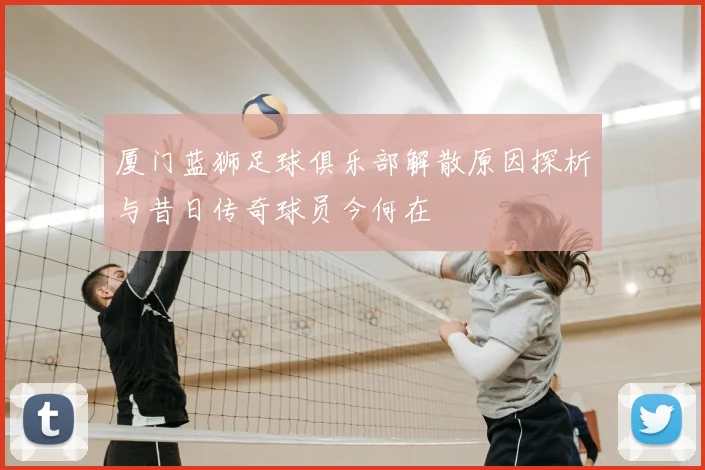 厦门蓝狮足球俱乐部解散原因探析与昔日传奇球员今何在