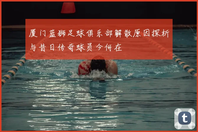 厦门蓝狮足球俱乐部解散原因探析与昔日传奇球员今何在
